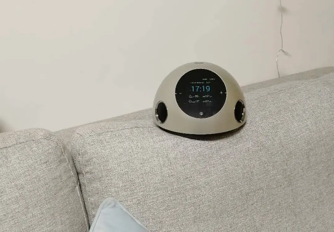 Archived image from an anonymous smart-speaker case